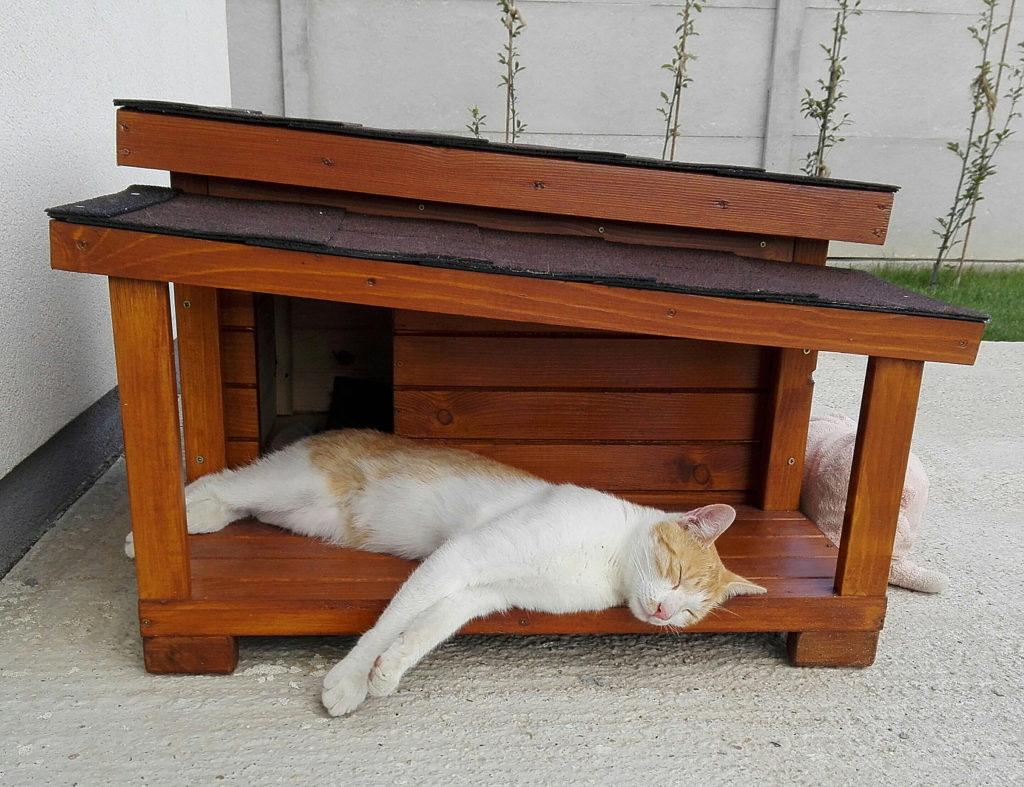 Zateplený domček pre mačku DARLING