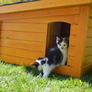 Zateplený domček pre mačku DAISY (odtieň borovica)