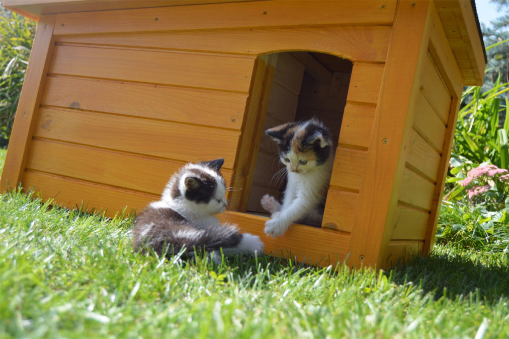 Zateplený domček pre mačku DAISY