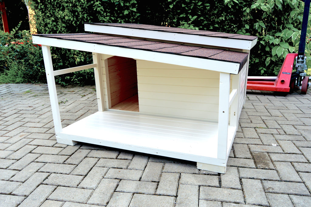 Psia búda DINO so šikmou strechou a praktickou krytou terasou #2