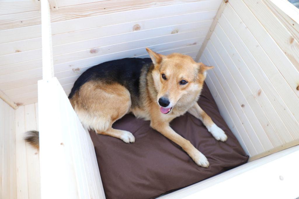 Vodeodolný vankúšik do búdy - tmavohnedý 75 x 70 cm #1.