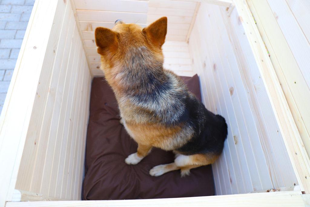 Vodeodolný vankúšik do búdy - tmavohnedý 75 x 70 cm #11.