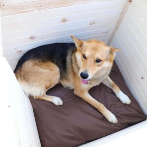 Vodeodolný vankúšik do búdy - tmavohnedý 75 x 70 cm #1.