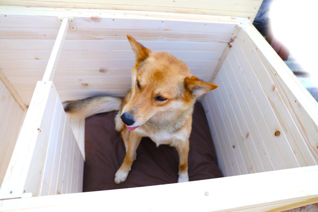 Vodeodolný vankúšik do búdy - tmavohnedý 75 x 70 cm #4.