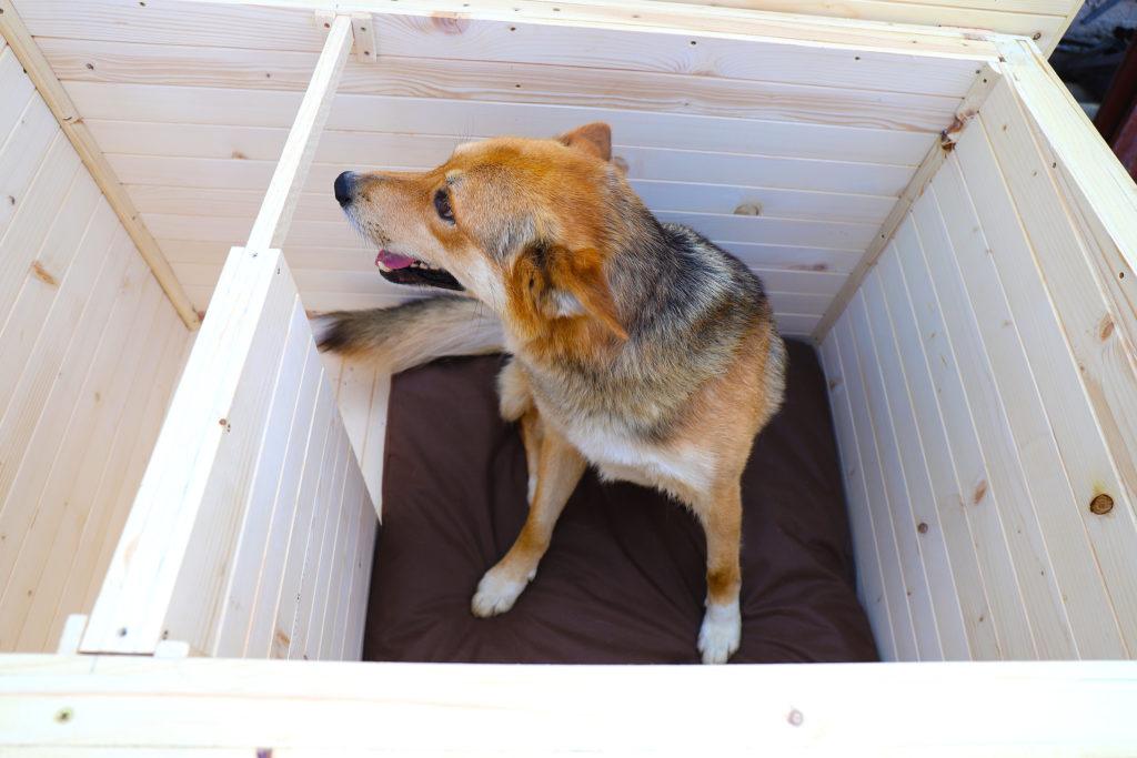 Vodeodolný vankúšik do búdy - tmavohnedý 75 x 70 cm #5.