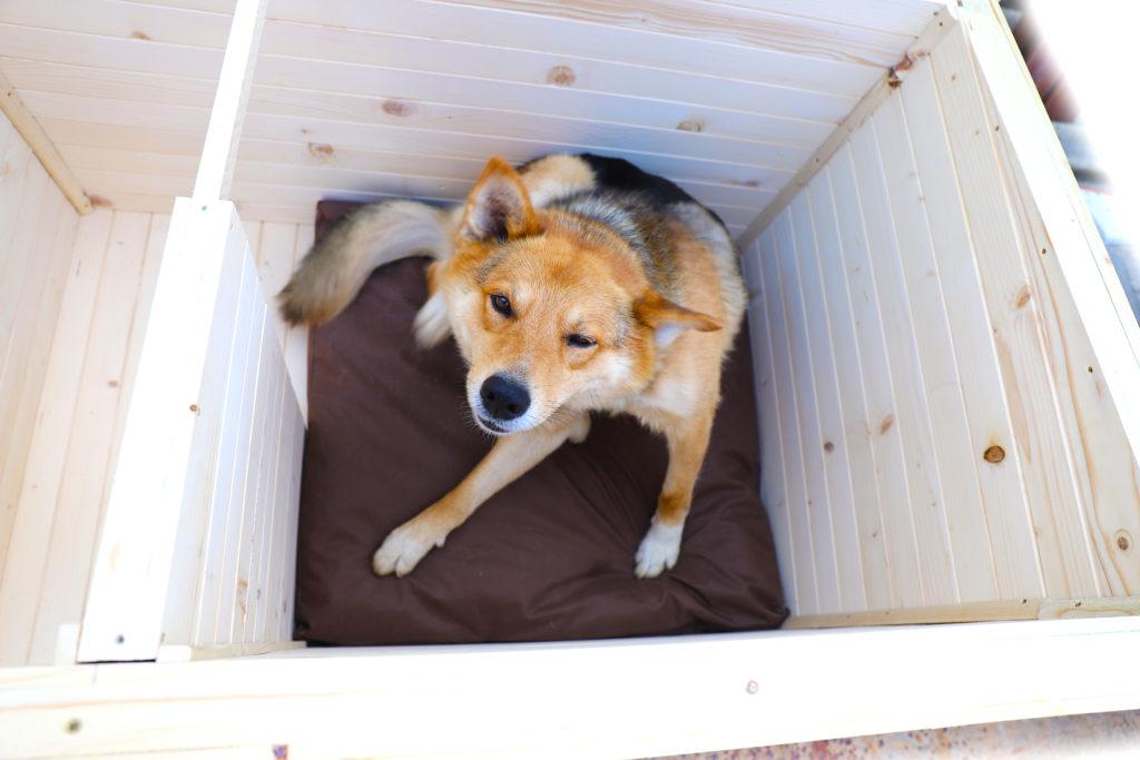 Vodeodolný vankúšik do búdy - tmavohnedý 75 x 70 cm #6.