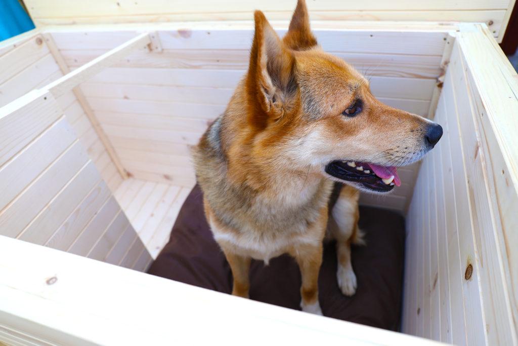 Vodeodolný vankúšik do búdy - tmavohnedý 75 x 70 cm #7.