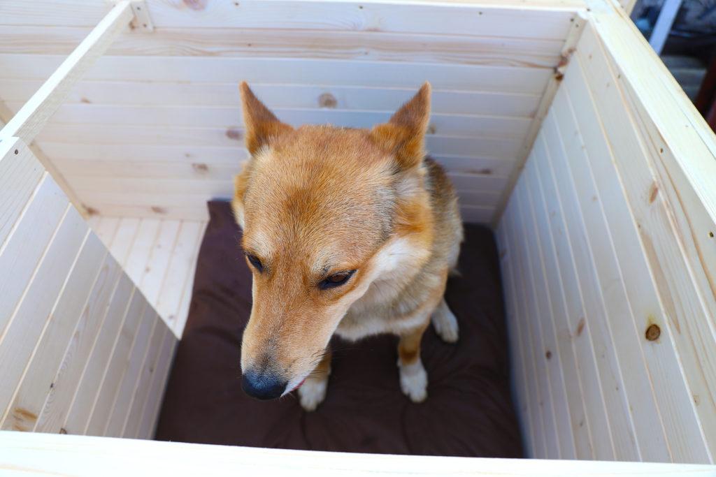 Vodeodolný vankúšik do búdy - tmavohnedý 75 x 70 cm #8.