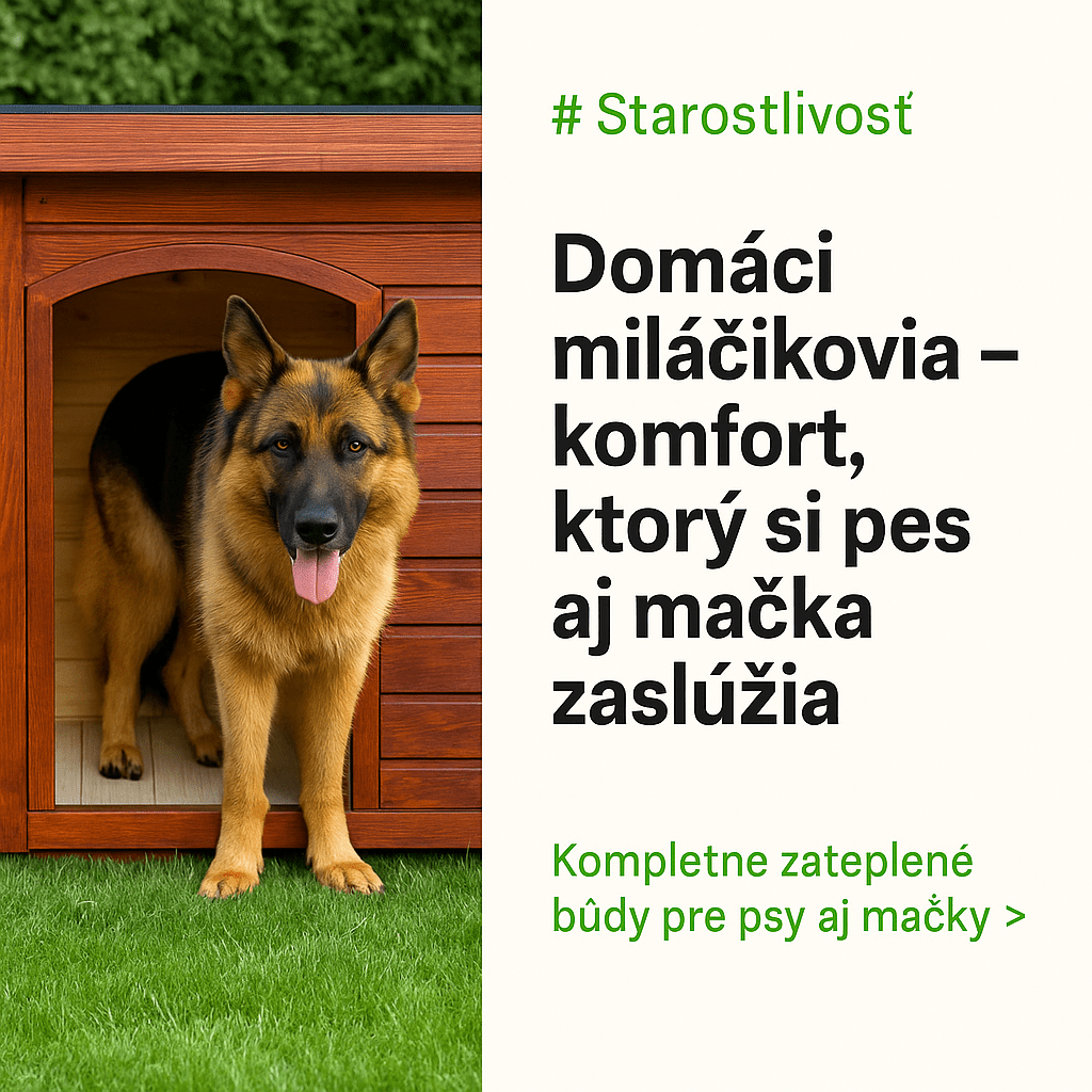 Domáci miláčikovia – komfort, ktorý si pes aj mačka zaslúžia